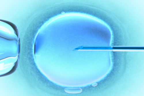 单角子宫做供精正规代生孩子成功案例多不多