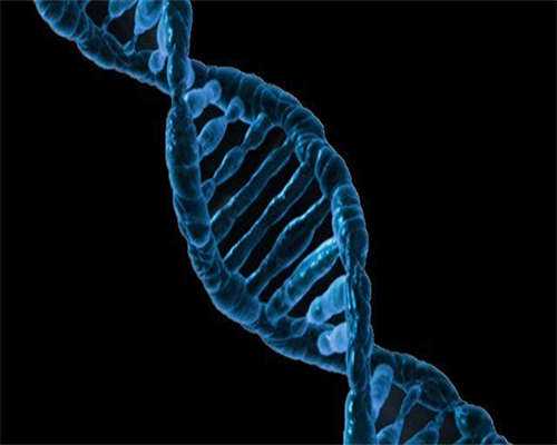 如何做供卵，创造一个幸福的家庭