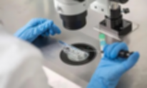 供卵质量怎么样_靠谱代孕网哪家好,试管移植后不能吃的八种水果!木瓜会促进