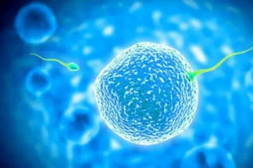 西囡医院二代代生孩子可选性别的成功率，西囡代生孩子可选性别成功率高吗？