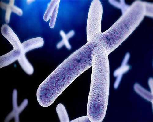 做三代移植的费用明细表，附试管婴儿费用明细一览表