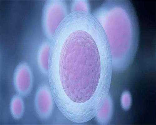 男人轻度弱精在湛江做三代试管供卵地址好吗(男性弱精做试管供卵地址成功率