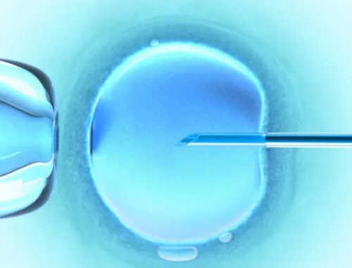 郑州代生服务平台,你需要知道的所有信息和技术