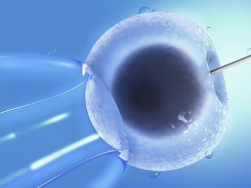 内蒙第三代试管婴儿价格明细，可以做什么项目