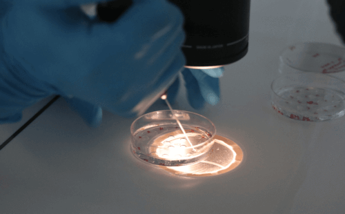 昆明赴泰正规代生孩子咨询医院(昆明代生孩子咨询医院做代生孩子咨询)