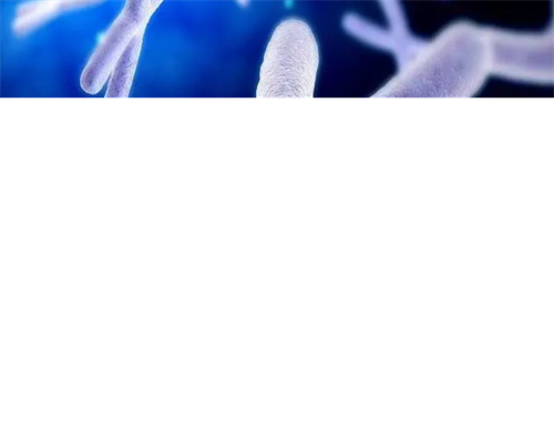 鹤壁办三代试管婴儿辅助怀孕全套费用？试管医院推荐！