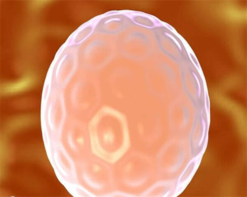 内膜7.8可以做试管吗