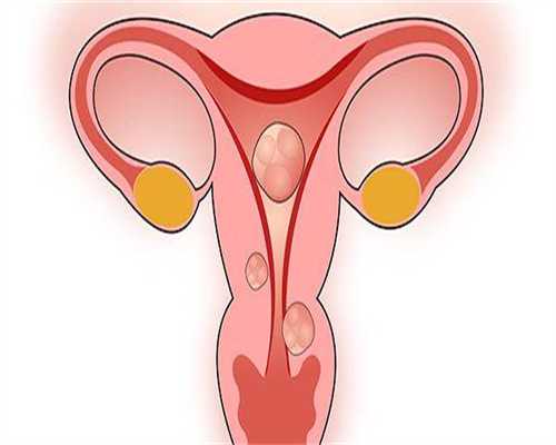 内蒙市第一医院可以做试管婴儿吗？费用大概多少？