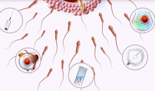 茂名试管婴儿价格？分哪几部分！