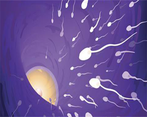 单身可以做私人供卵机构吗！附私人供卵机构流程解读！