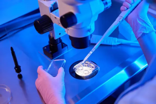 三代试管婴儿多少费用？具体有哪些项目？