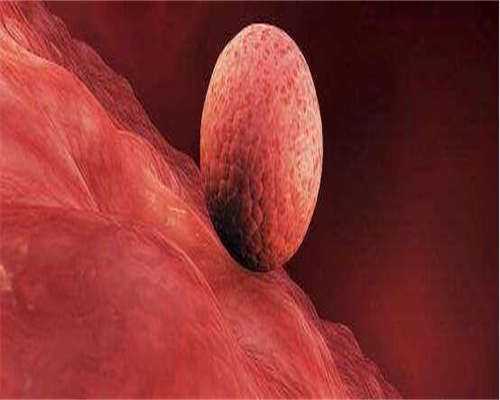 有代生网吗移植三天冻胚不着床会有哪些特征(附上移植注意事项解读)