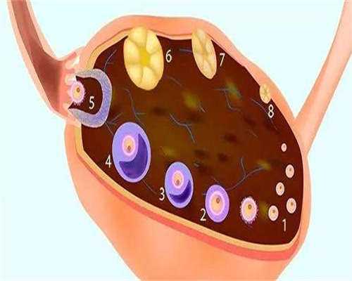 北京私立医院代生中介哪里好成功率预估，私立机构实力不差！