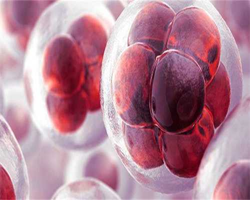 包成功代孕保密咨询,怀孕2个月的孕妇一天能吃几个油桃?