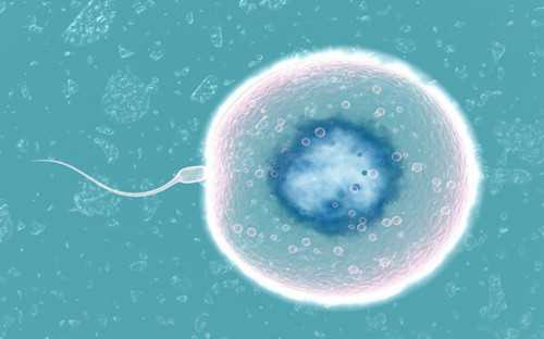 安阳做一、二、三代试管费用一般是多少？虽然不贵但也不便宜