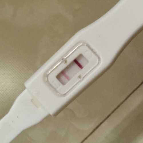 两个卵泡做试管婴儿吗