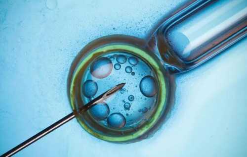 包生男孩_内蒙试管供卵捐卵,「挂号！」内蒙试管婴儿医生排名最好，这