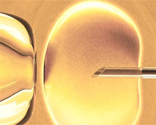 三代佛山代生试管婴儿胚胎都有嵌合体风险吗？三代佛山代生试管婴儿还会胚胎