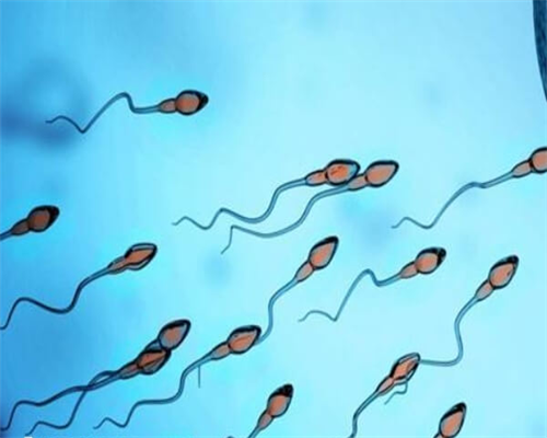 2026内蒙第三代试管能选的了男女吗要花多少钱？