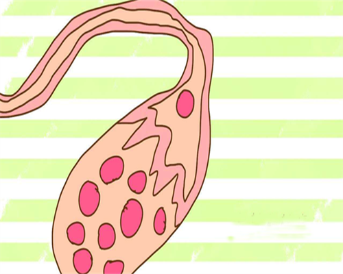 代生子包成功_代生机构包生女孩,阳了还能做试管婴儿吗-阳性可以怀孕吗