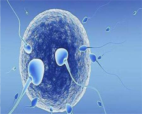 2026内蒙哪家不孕不育医院能做促排卵？一次多少钱？