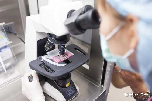 湛江试管婴儿生子的价格是多少？1-2万元！