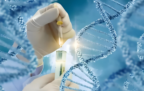 内蒙做第三代试管包生男孩费用贵吗?