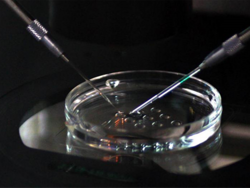 重庆妇幼保健院代生哪家专业怎么样，附带代生哪家专业流程！