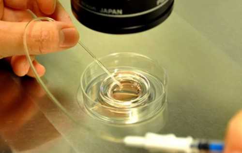 最靠谱代孕公司_三代试管代孕费用,试管婴儿胚胎没着床哪去了(试管婴儿没有着