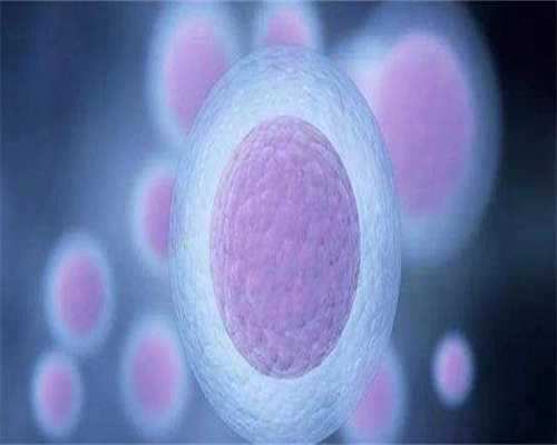 包成功代怀网_60万包生男孩,怀孕能不能吃韭菜
						