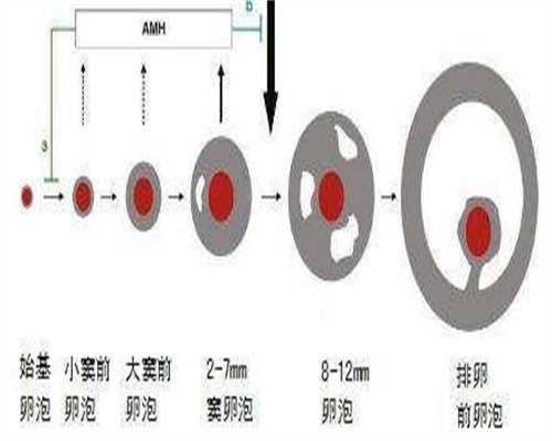 子宫粘连对手术有影响吗三代代生流程和费用,代生流程和费用成功率呢?