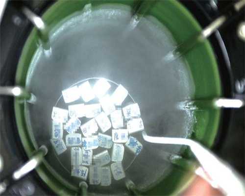 女性睾酮过高可以做做代生价格是多少移植冻胚吗？