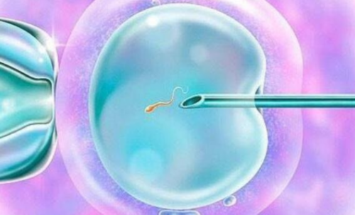 东莞三代试管婴儿生宝宝费用大概是多少钱!来看价钱明细!