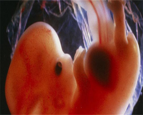 内蒙私立医院做三代试管婴儿什么价格-内蒙试管婴儿多少钱一次?!