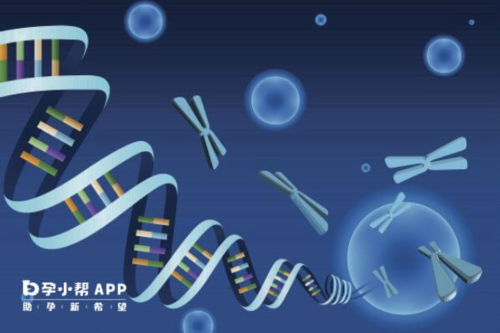 试管婴儿移植可以自己去吗-试管婴儿可以自己做吗