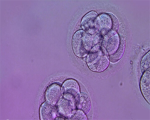 哪些病可以被筛查，从流程到价格！