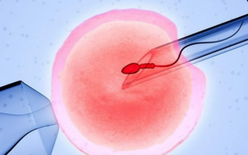 代妈公司介绍_正规的代怀,怀孕初期为什么会有如此强烈的姨妈感?5个信号暗示