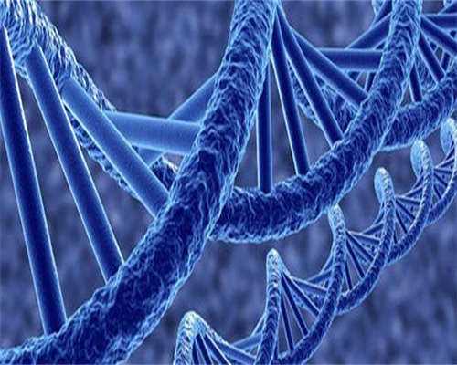 国内借卵试管微信群_试管做龙凤胎费用大吗,子宫肌瘤是什么病，应该如何治疗