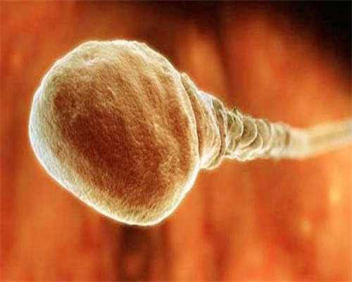 年龄大第三代试管婴儿吗