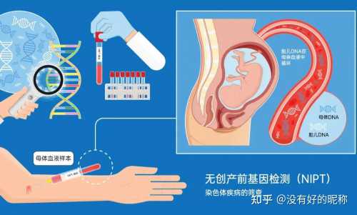 试管怎么这么多检查？