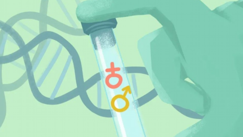 助孕包性别_包生男孩包成功,多囊打促排卵针后能怀孕吗？多囊打促排针多久会