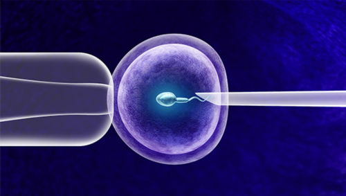 南宁地下供卵医院，如何处理代怀妈妈的补偿问题