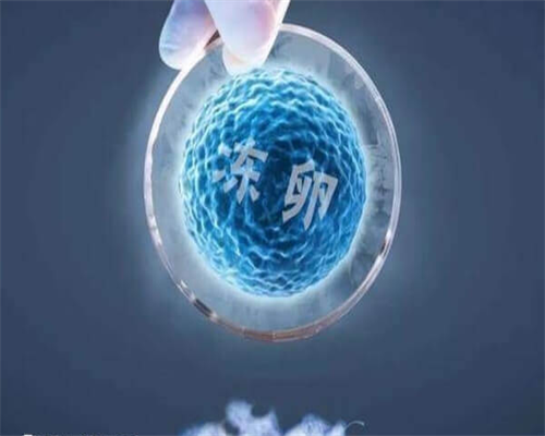 
              46xy单纯性腺发育不全能赠卵怀孕吗？
            