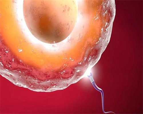 一代试管婴儿几次能成功