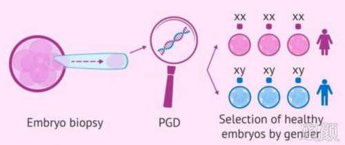 什么时间试管婴儿取卵