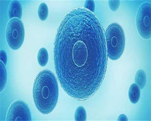 四川陪产假最新规定2026，成都只有7天纯属瞎说