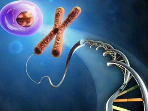 试管移植后着床成功的症状，看看你有没有中招