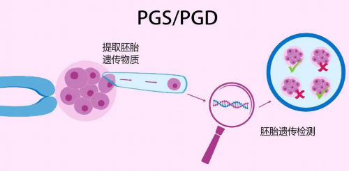 湖北专业试管代怀，为您带来无限生命的希望