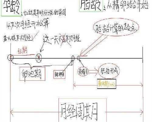 天津市私立同性恋怎样找代生医院排名
